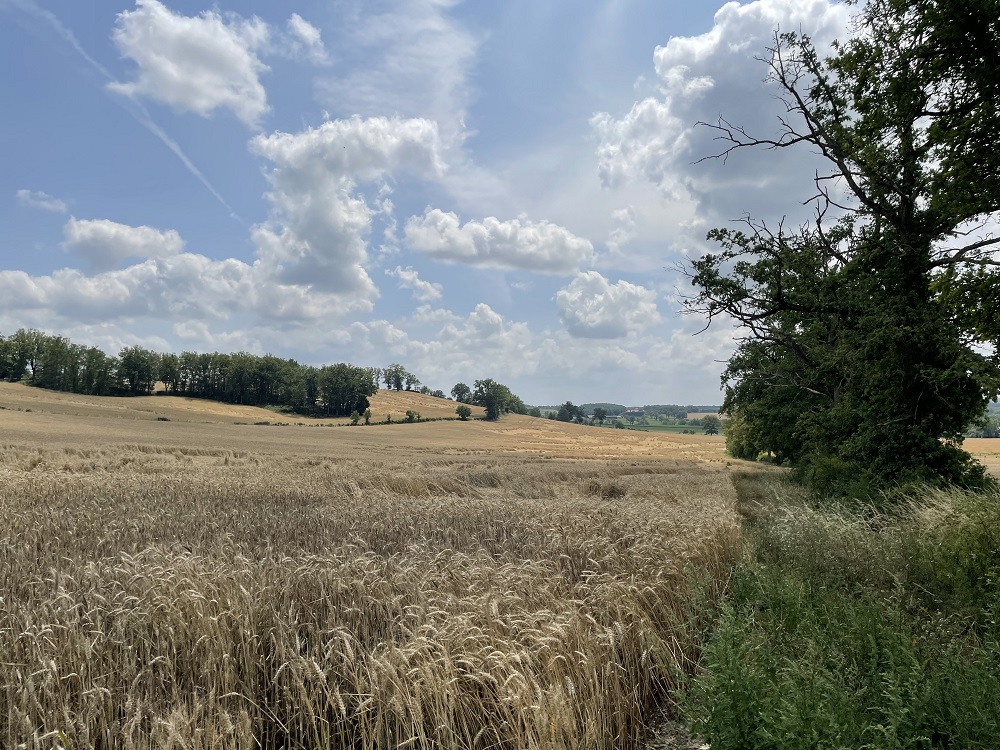 Parc agrivoltaïque de Chaumont-sur-Loire
