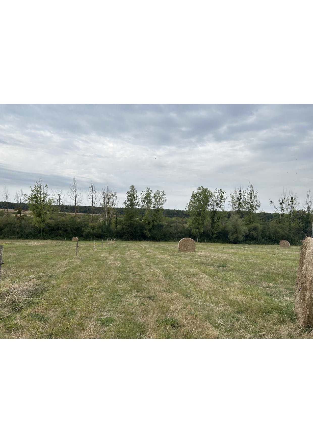Parc agrivoltaïque de Chaumont-sur-Loire